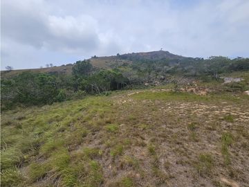 Se Venden Finca de 20 Hectáreas en Chicá