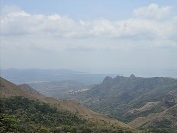 Se Venden Finca de 20 Hectáreas en Chicá