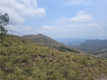 Se Venden Finca de 20 Hectáreas en Chicá