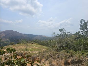 Se Venden Finca de 20 Hectáreas en Chicá