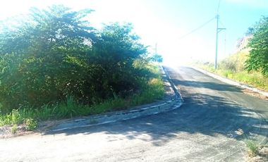 220 SQM Corner Lot for Sale in Greenville Heights Consolacion Cebu