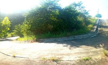 220 SQM Corner Lot for Sale in Greenville Heights Consolacion Cebu