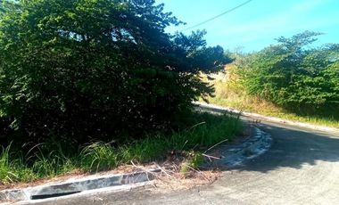 220 SQM Corner Lot for Sale in Greenville Heights Consolacion Cebu