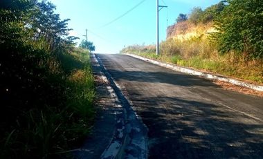 220 SQM Corner Lot for Sale in Greenville Heights Consolacion Cebu