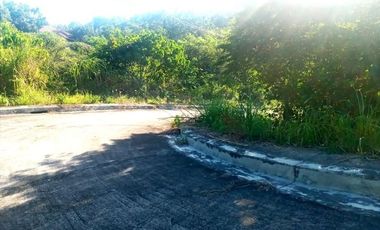 220 SQM Corner Lot for Sale in Greenville Heights Consolacion Cebu