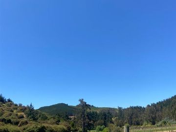 Terreno Construccion  en Venta en Vichuquén