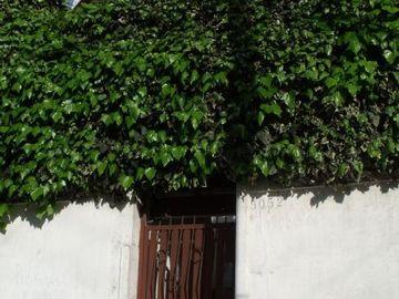 Casa en Venta en GRAN CASONA AVENIDA ALEMANIA