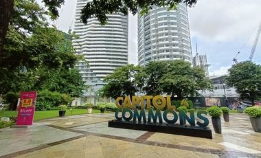 2 BR Condo at Capitol Commons