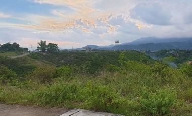 Affordable 263 Sqm Residential Lot for Sale in Vista Verde Consolacion Cebu with Scenic Mountain Views