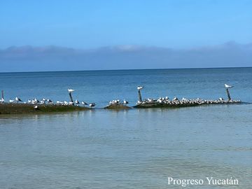Condominio frente al mar, con club de playa, areas verdes y amenidades, en pre-c
