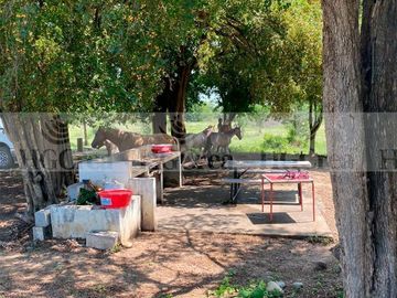 RANCHO AGRICOLA EN VENTA EN CADEREYTA