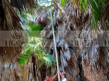 RANCHO AGRICOLA EN VENTA EN CADEREYTA