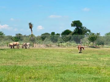 RANCHO AGRICOLA EN VENTA EN CADEREYTA