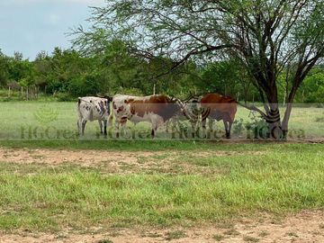 RANCHO AGRICOLA EN VENTA EN CADEREYTA