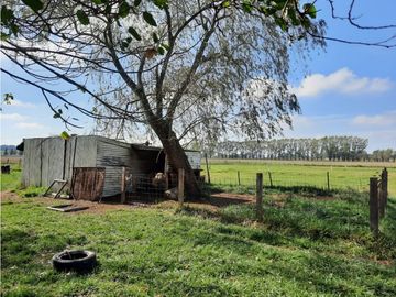 Campo en venta en Brandsen. 2,8 Has. Haras