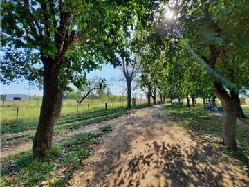 Campo en venta en Brandsen. 2,8 Has. Haras