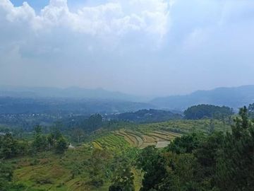 Kapling Bumijawa : 20 Jt-an Vies Sawah Cocok Bangun Villa