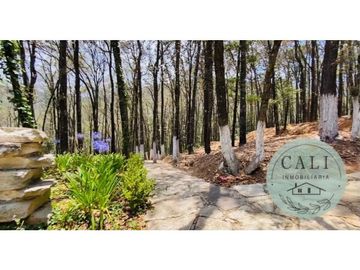 Terreno en VENTA, ideal para cabaña en Bosques de Zumate Hidalgo