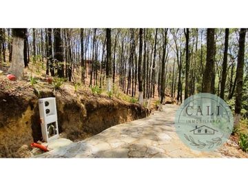 Terreno en VENTA, ideal para cabaña en Bosques de Zumate Hidalgo