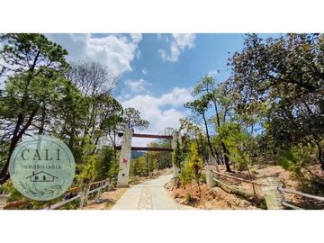 Terreno en VENTA, ideal para cabaña en Bosques de Zumate Hidalgo