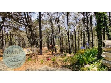 Terreno en VENTA, ideal para cabaña en Bosques de Zumate Hidalgo