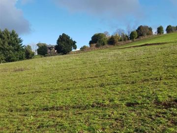 COD36399 Parcela 5.400m2 en venta en Monte Verde Temuco