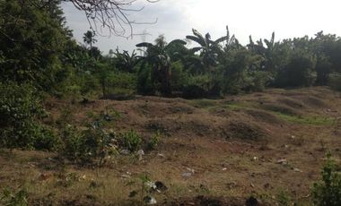 Titled Commercial / Residential Lot for sale Caba, La Union (SOLD)