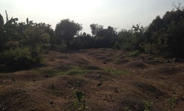 Titled Commercial / Residential Lot for sale Caba, La Union (SOLD)
