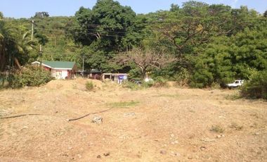 Titled Commercial / Residential Lot for sale Caba, La Union (SOLD)