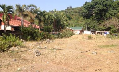 Titled Commercial / Residential Lot for sale Caba, La Union (SOLD)