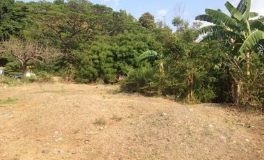 Titled Commercial / Residential Lot for sale Caba, La Union (SOLD)