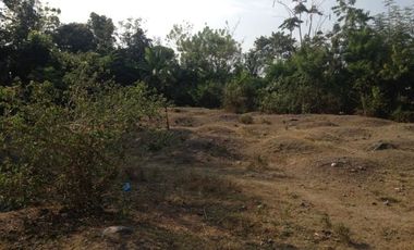 Titled Commercial / Residential Lot for sale Caba, La Union (SOLD)