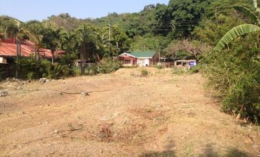 Titled Commercial / Residential Lot for sale Caba, La Union (SOLD)