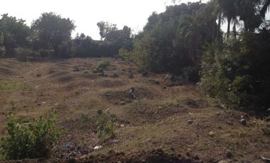 Titled Commercial / Residential Lot for sale Caba, La Union (SOLD)