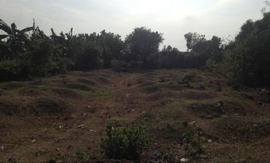 Titled Commercial / Residential Lot for sale Caba, La Union (SOLD)