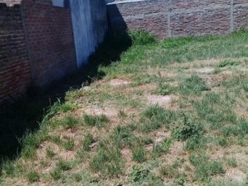 Salvador Del Carril 2335
