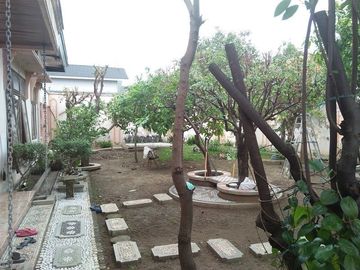 Rumah Besar Jalan Raya Rungkut Asri 25x30 Bs buat kantor