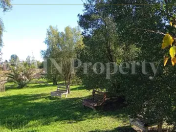 Parcela De 7.043 M2 Con Casa, Piscina Y Viña Camino A Pinto