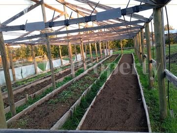 Parcela De 7.043 M2 Con Casa, Piscina Y Viña Camino A Pinto