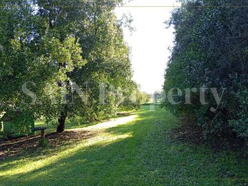 Parcela De 7.043 M2 Con Casa, Piscina Y Viña Camino A Pinto