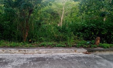 Most Affordable 121 Sqm Lot for Sale in Greenville Heights Consolacion Cebu