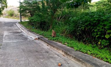 Most Affordable 121 Sqm Lot for Sale in Greenville Heights Consolacion Cebu
