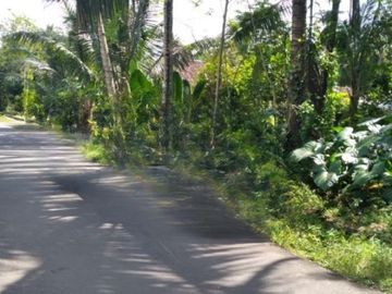 Tanah Kapling Magelang; Borobudur Village 1 jt-an /m2
