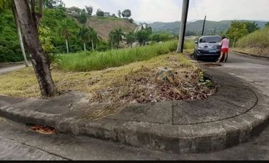 Sacrifice Sale 211 SQM Residential Lot for Sale in El Monte Verde Consolacion Cebu