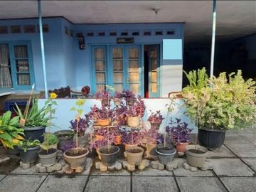 Rumah Siap Huni di Bukit Duri Tebet Jakarta Selatan