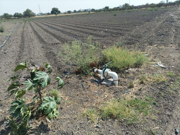Terreno en Venta, en Cortazar, Gto.