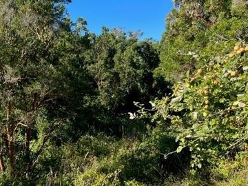 Sitio en Venta en PUYEHUE