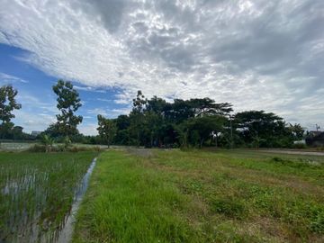 Dijual Rumah Murah Ekslusif Murah Pesan Bangun Di Kalikotes