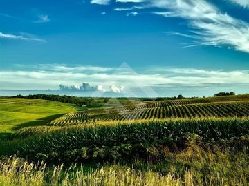 Campos en venta en la Región De Los Lagos