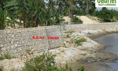 Single Detached Houses in Vista De Bahia Resort Subdivision